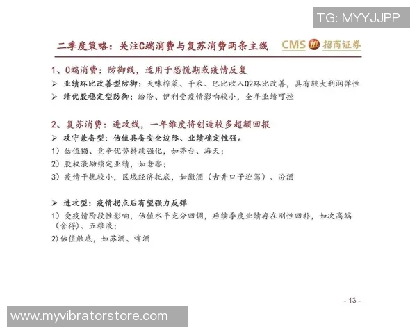 深入分析杭州极限运动队的防守策略与战术执行细节